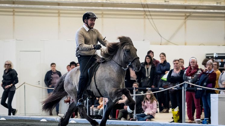 Magnús Skulason på Valsa från Brösarpsgården under en clinic på Elmia Icelandic Power Show 2017. Foto: Sofie Lahtinen-Carlsson