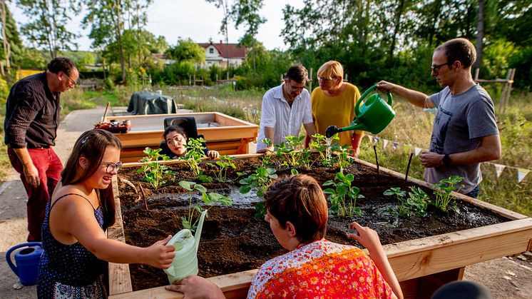 Gemeinsam in der Natur: Menschen mit und ohne Behinderung gärtnern an einem barrierefreien Hochbeet / Fotocredits: Aktion Mensch e.V.