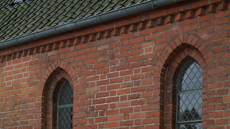 I skyggen af Roskilde Domkirke 6