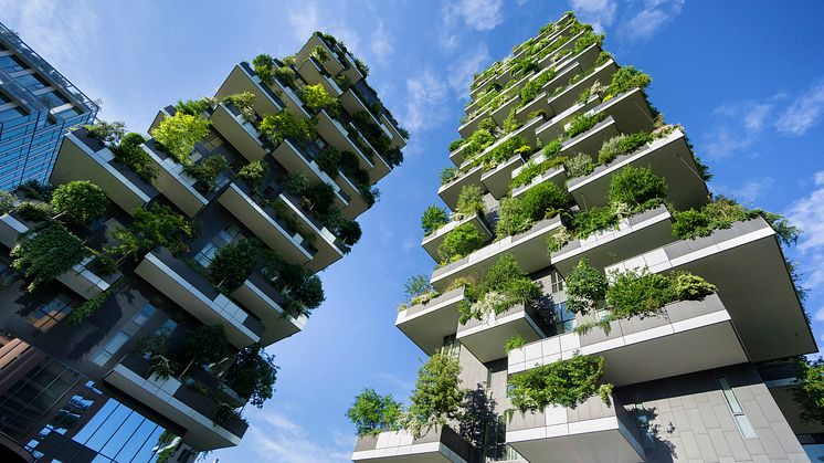 sustainable-architecture-green-vegetation