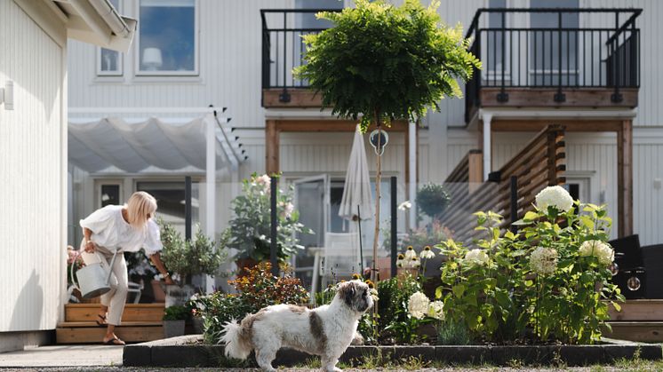 Exempel på hus som kan förekomma i OBOS trädgårdsstad.