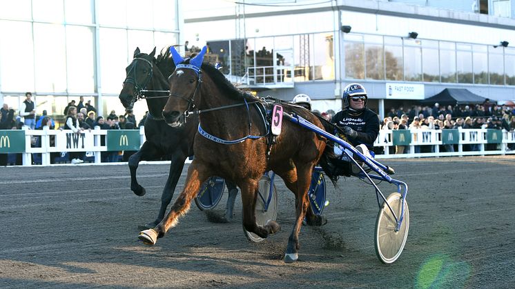 Den lilla tränaren med den fantastiska hästen tar plats nummer fem. ﻿﻿A Fair Day är klar för sista söndagen i maj. Foto: TR Bild