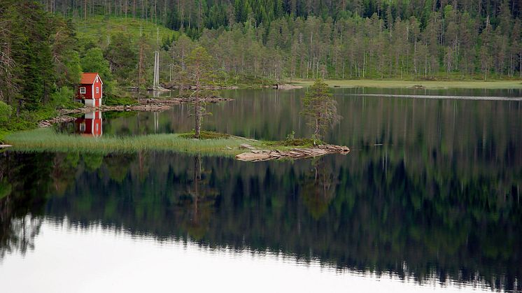 Nytt förslag med strandskyddsbestämmelser når inte hela vägen fram