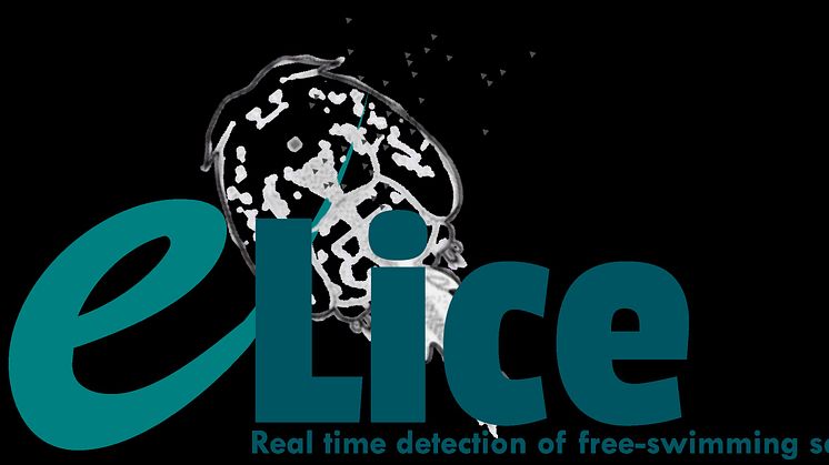 e-Lice