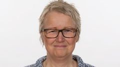 Anna Bråndal, institutionerna för Folkhälsa och klinisk medicin samt Samhällsmedicin och rehabilitering, Umeå universitet