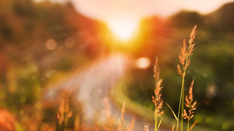 Växjö Energi får förnyat förtroende i Klimatdialogen