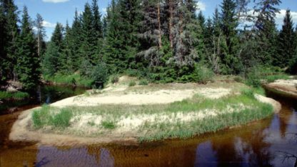 Vi har två nya naturreservat i Värmland