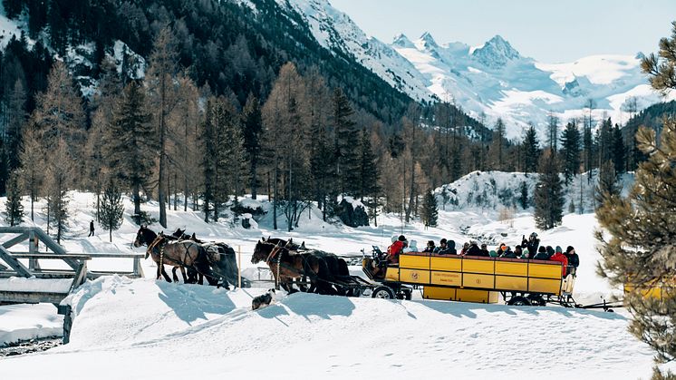 Val Roseg, Wohli's Kutschenbetrieb 