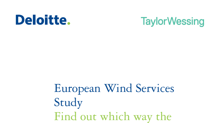 European Wind Service Study 2012