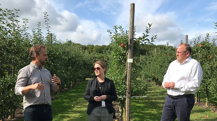 Landsbygdsminister Jennie Nilsson, odlingschef Jan Flemming Jensen samt VD Thomas Jensen Kiviks Musteri