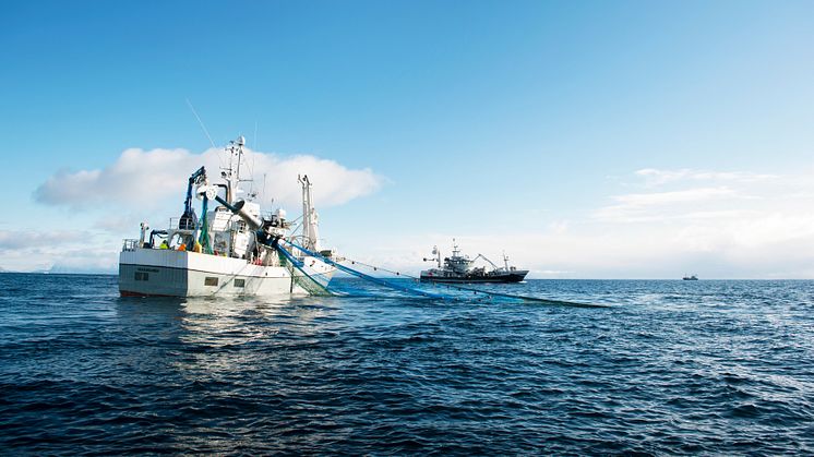 Photo: Norwegian Seafood Council