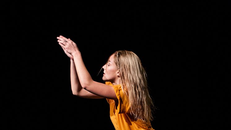 Liza Tegel, Vinnaren av Skapa Dans Riksfinal 2016