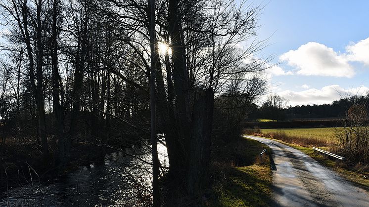 Bättre lekplats för fisken i Mieån skapas