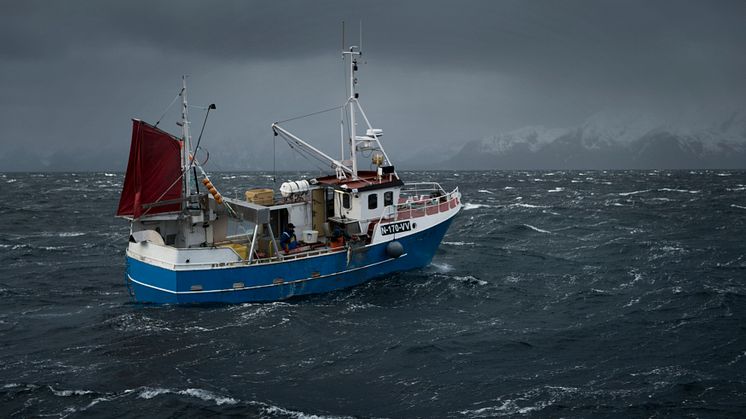 Båt, torsk