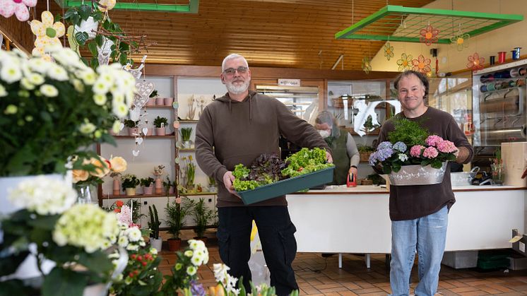 Klaus Lewinsohn und Klaus Göttig (von links) bringen das frische Bio-Gemüse direkt vom Beet in den Gärtnerei-Laden.