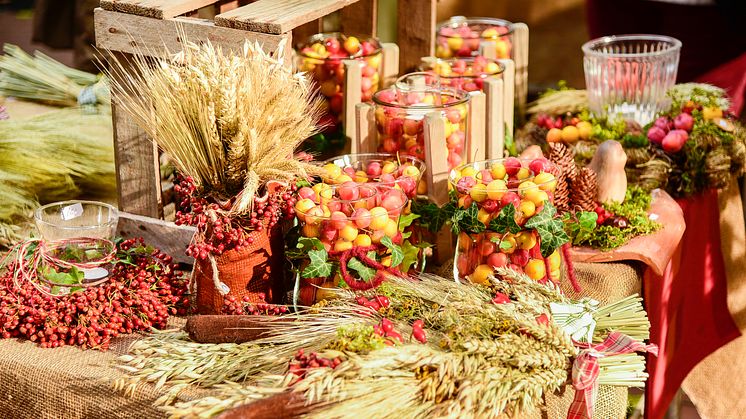 Handgemachte Naturkränze, selbstgemachte Leckereien, Schmuck, Strick und SpeelDeel beim Kieler Bauern- und Regionalmarkt