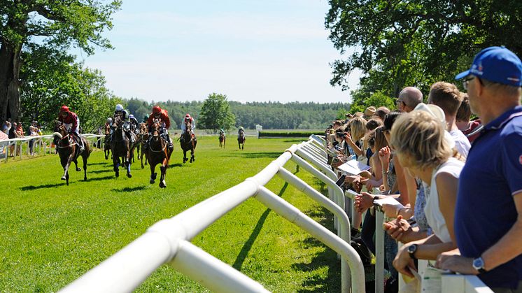 Hästarna på upploppet på Strömsholm