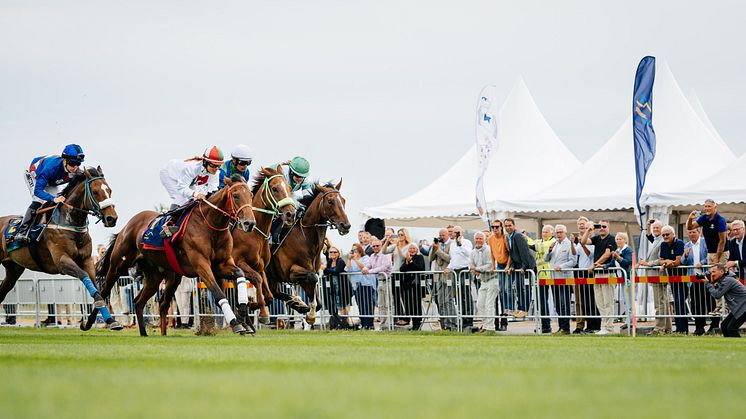  Högtryck på Bro Park när toppjockeys testrider nya galoppbanan