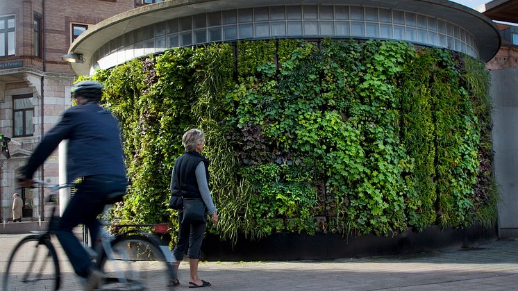 Vertikal trädgård i Helsingborg_Fotograf Eva Lie