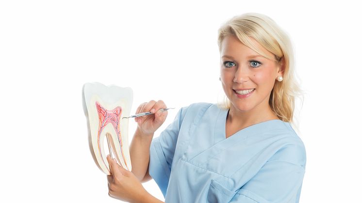 Undersøgelse af  sundhedsfremmende indsats i tandplejen 