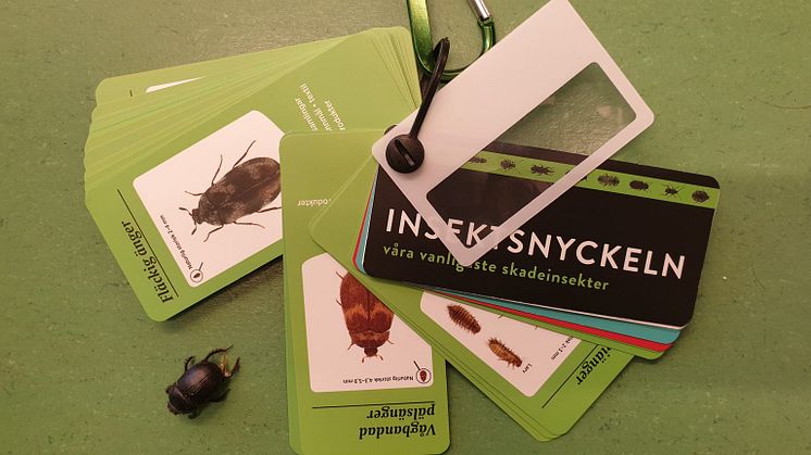 Med insektsnyckeln följer ett litet förstoringsglas och en karbinhake att sätta i bälte eller nyckelring. Foto: Carola Häggström (CC BY)