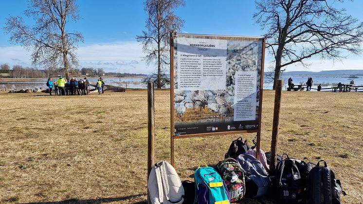 Tusen elever besöker nu Trandansen vid Hornborgasjön. Foto: Länsstyrelsen i Västra Götaland