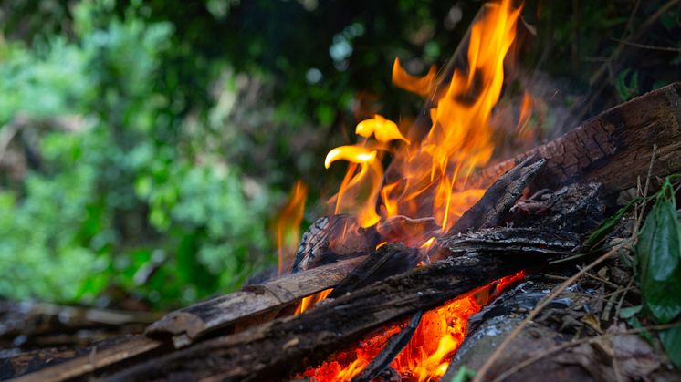 Med den heta och torra årstiden ökar risken för bränder. Hos Abkati hittar du pålitliga brandsläckare med hög kvalitet.