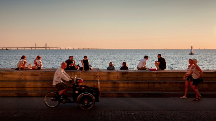Malmö rustar inför ökad kryssningsturism, söker tysktalande guider