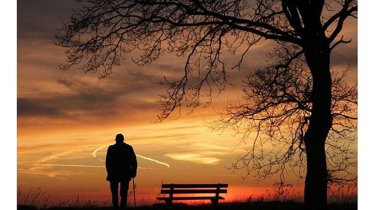 En ny studie visar att effekterna av ensamhet och depression skiljer sig åt. Foto: CC0 Public Domain