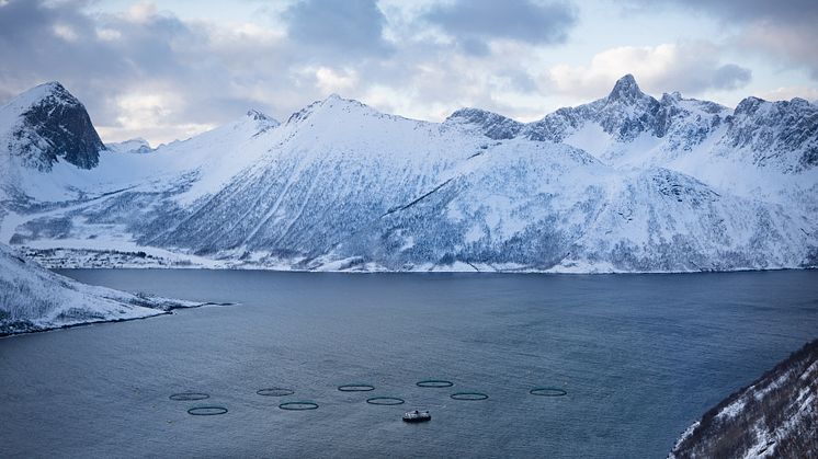 Nachhaltige Aquakultur in Norwegen