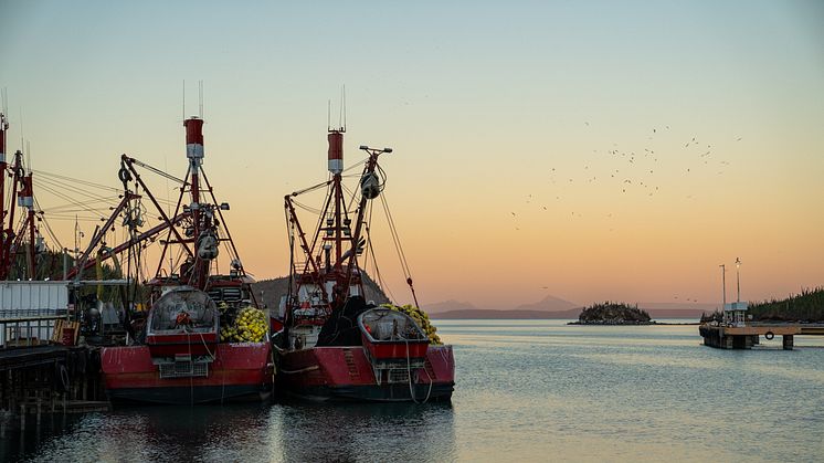 MSC-sertifioidut kalastukset auttavat suojelemaan meriämme