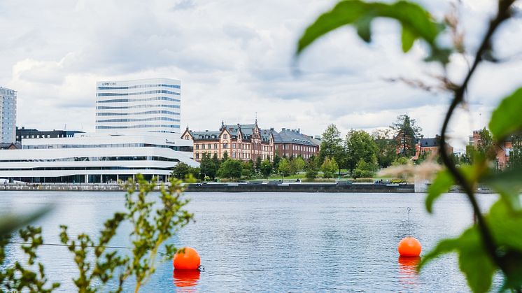 Umeå 