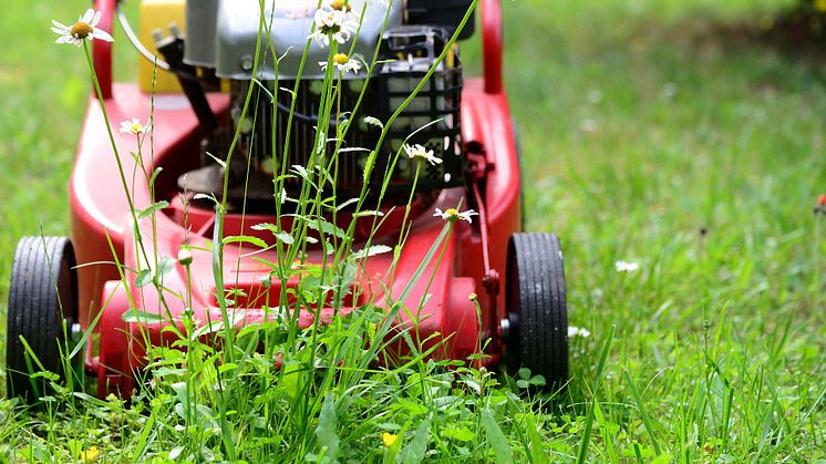 Aus Grasschnitt entsteht ein wertvoller Energielieferant