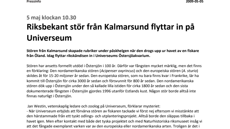 Riksbekant stör från Kalmarsund flyttar in på Universeum