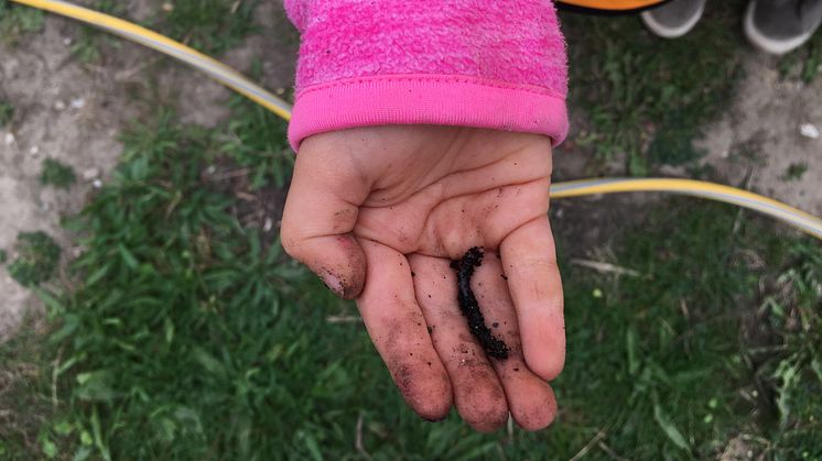 En flicka från Sorgenfri förskola visar stolt upp sitt fynd i skolträdgården hos stiftelsen Botildenborg, Malmö. 