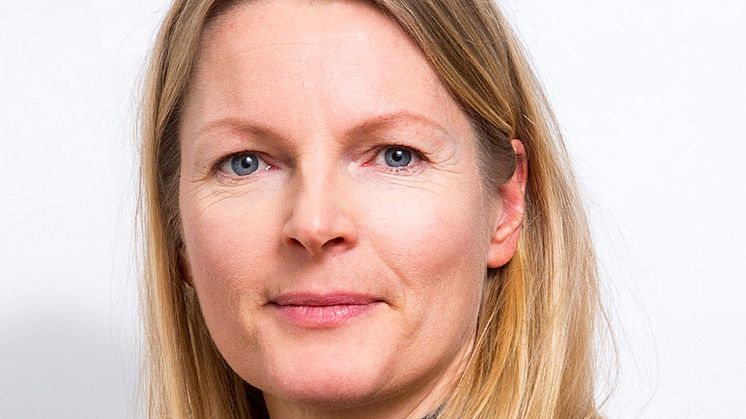 Pernilla Rönnlund, Organisationskonsult, Previa