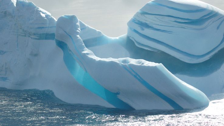 Stor besvikelse efter nej till marina skyddade områden i Antarktis 