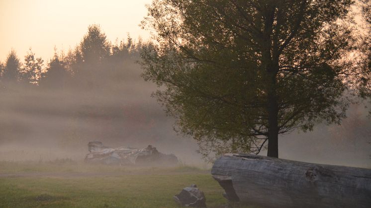 Invigning av Filborna skogspark den 22 oktober