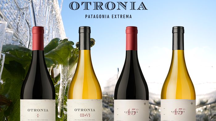 Otronia Block 1 och Otronia Block 3&6 i BS samt Otronia Rugientes Pinot Noir och Corte de Blancas i exklusiv lansering