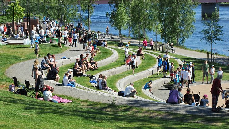 Drygt 7200 plockar skräp för ett renare Umeå