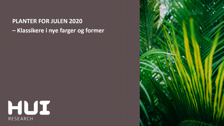 PLANTER FOR JULEN 2020 - Plantasjens årlige plantetrendrapport
