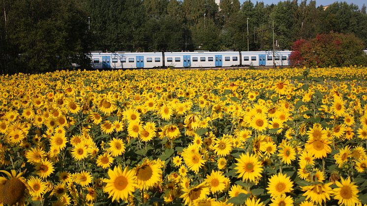 Foto:  Michael Erhardsson/Region Stockholm