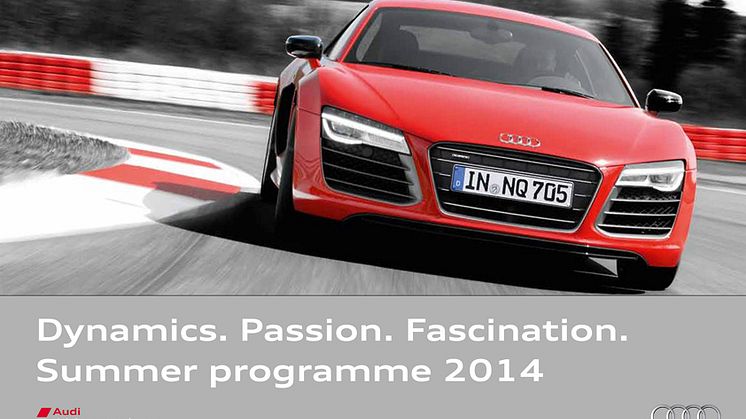 Audi driving experience