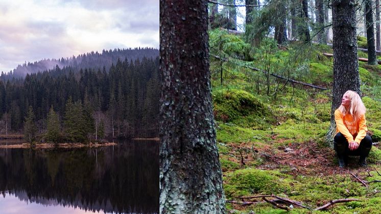 Skogsbad - upplev det kravlösa lugnet i naturen