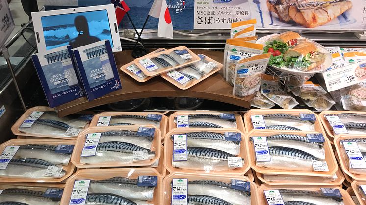 Norsk makrell i japansk supermarked (1).jpg