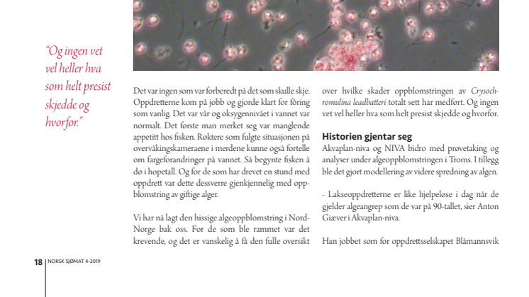 Algeoppblomstringen i nord