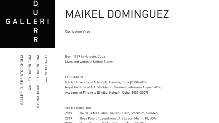 MaikelDominguez_cv_mars 2020a.pdf