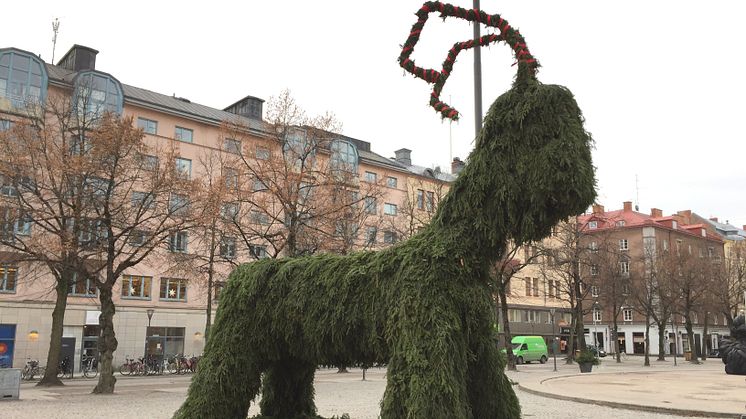 Bocken Julius kommer till Järntorget lagom till 2a advent!