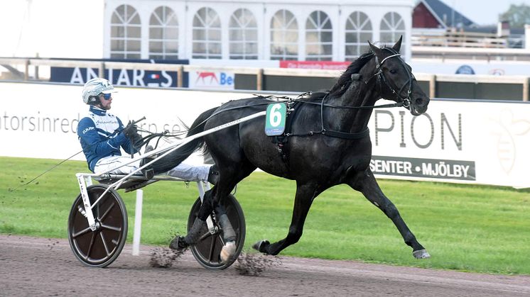 ﻿﻿13-årige Sorbet vann Sprinterkrevaden på Mantorp Hästsportarena. Foto: Magnus Strömsten.