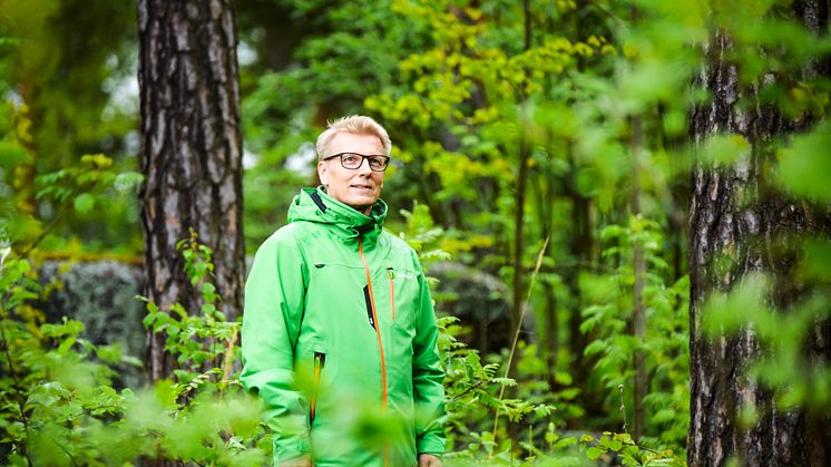 Yleensä luonnossa liikkuminen herättää ihmisissä halun suojella sitä, ministeri Kimmo Tiilikainen sanoo. Kuva: Teemu Kuusimurto/YHA kuvapankki   